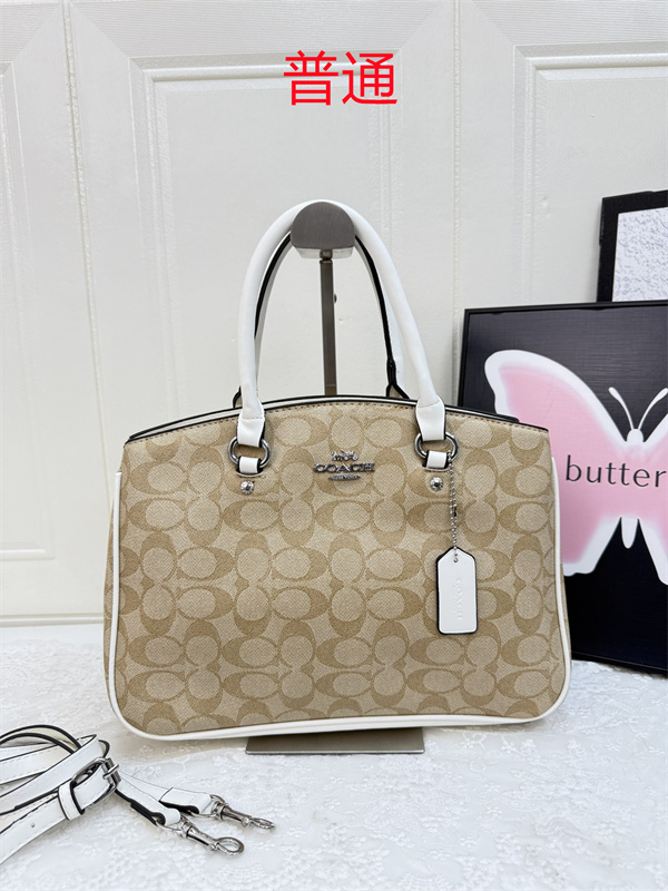 Coach bag-0415