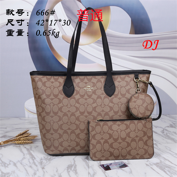 Coach bag-0042