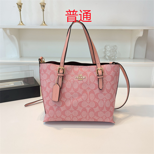 Coach bag-0420