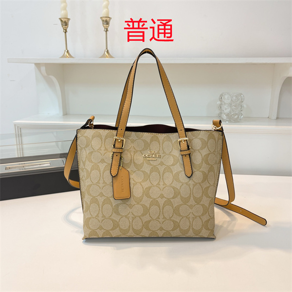 Coach bag-0421