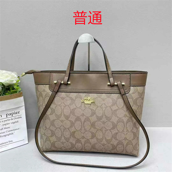 Coach bag-0427