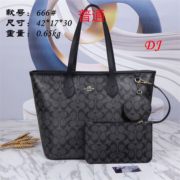 Coach bag-0043