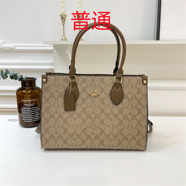 Coach bag-0442