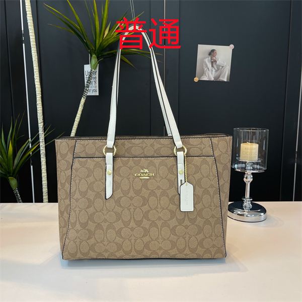 Coach bag-0447