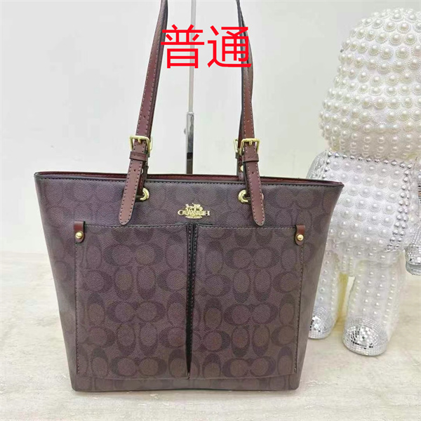 Coach bag-0473