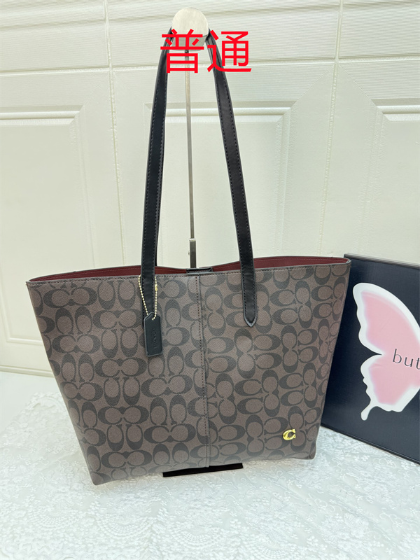 Coach bag-0495
