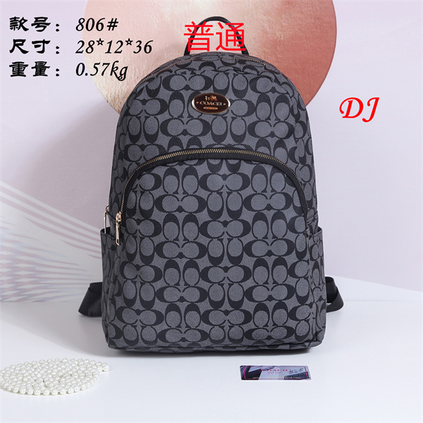 Coach bag-0050