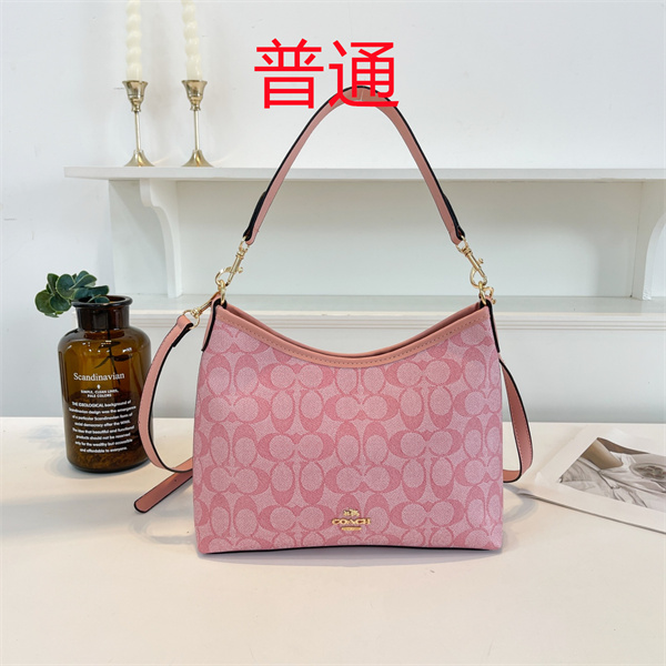 Coach bag-0513