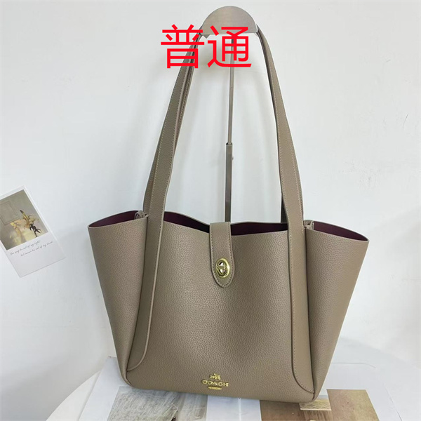 Coach bag-0539