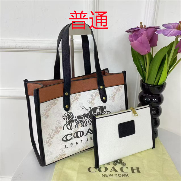 Coach bag-0543