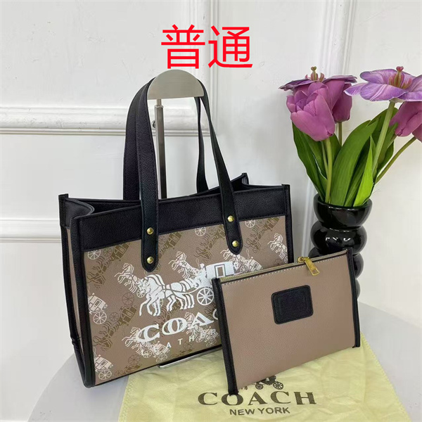 Coach bag-0544