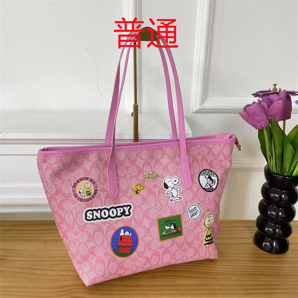 Coach bag-0551