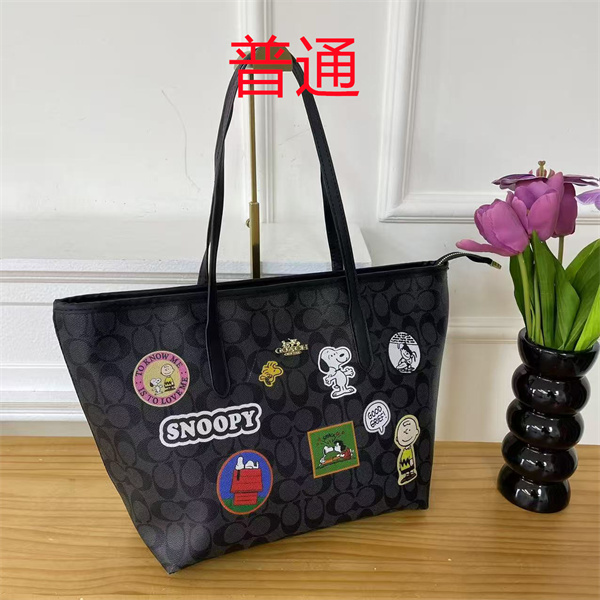 Coach bag-0554