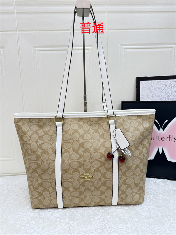 Coach bag-0556