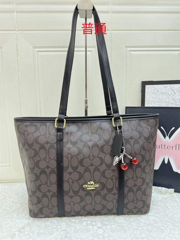 Coach bag-0558