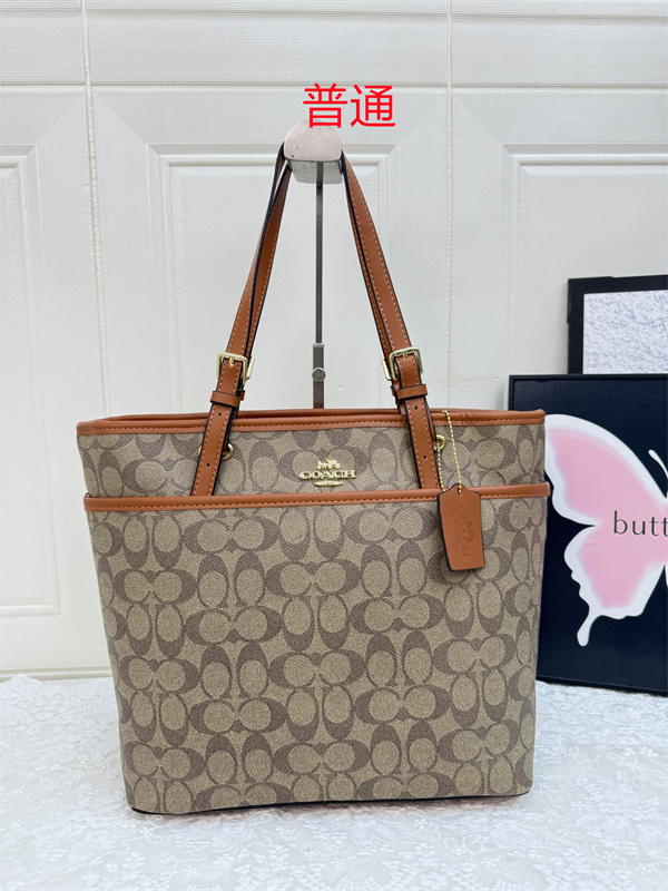 Coach bag-0562