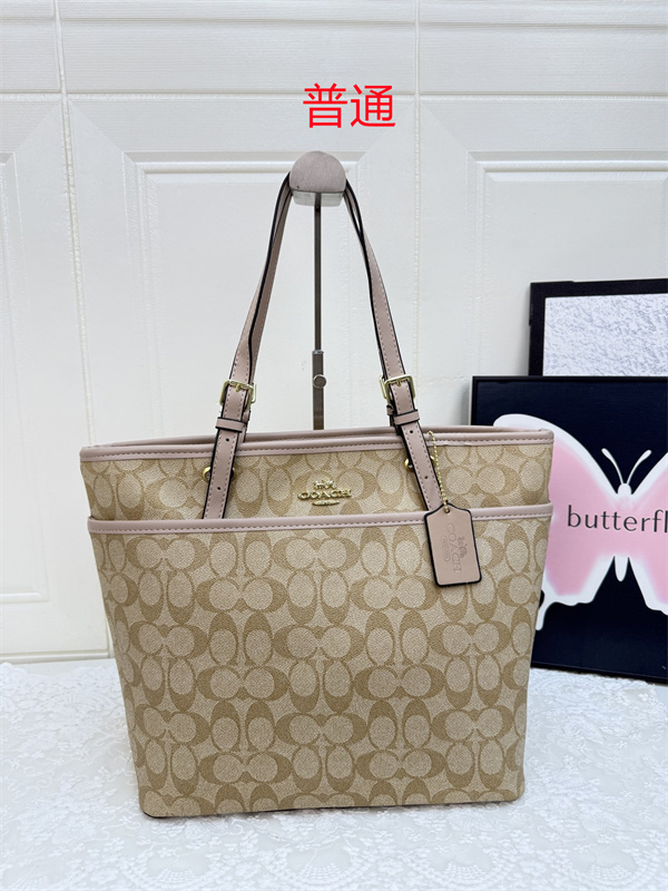 Coach bag-0563