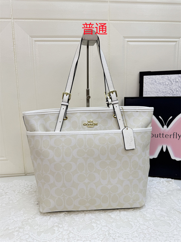 Coach bag-0566