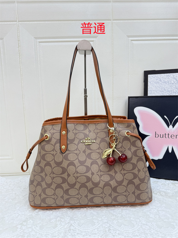 Coach bag-0567