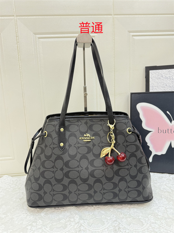 Coach bag-0570