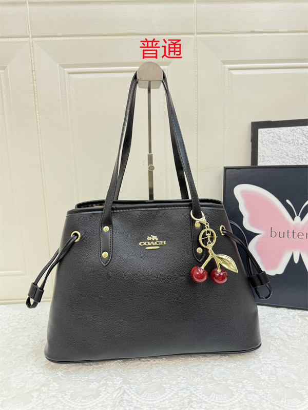 Coach bag-0572