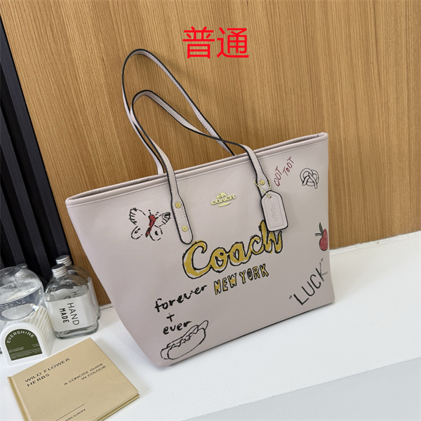 Coach bag-0584