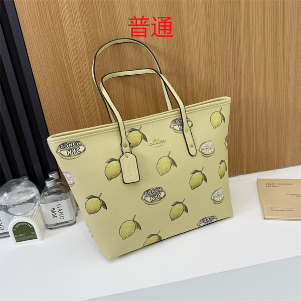 Coach bag-0586