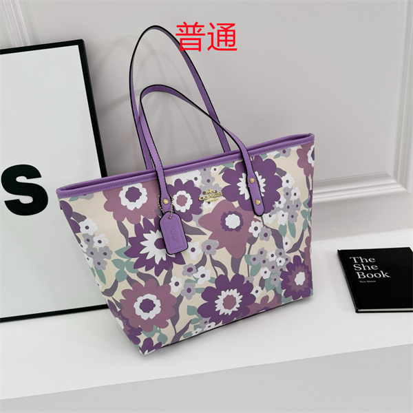 Coach bag-0598