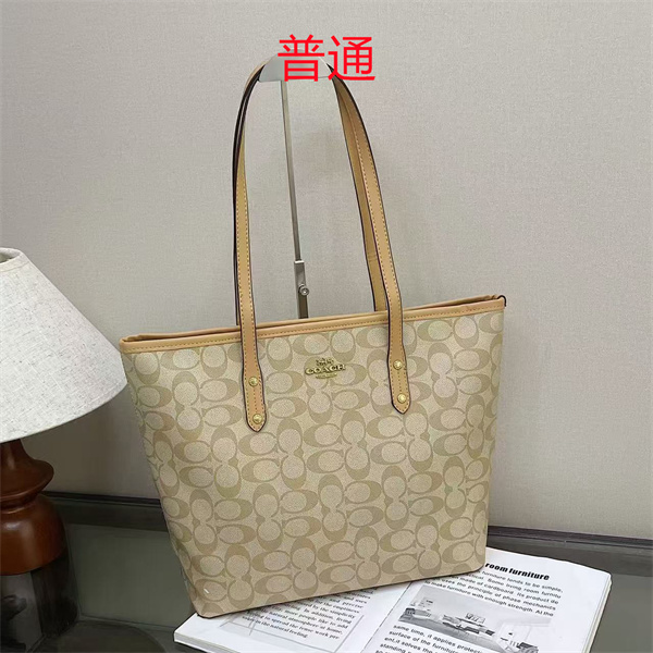 Coach bag-0601