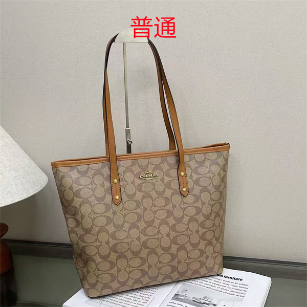 Coach bag-0602