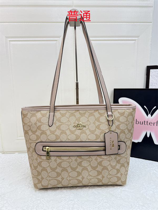 Coach bag-0612