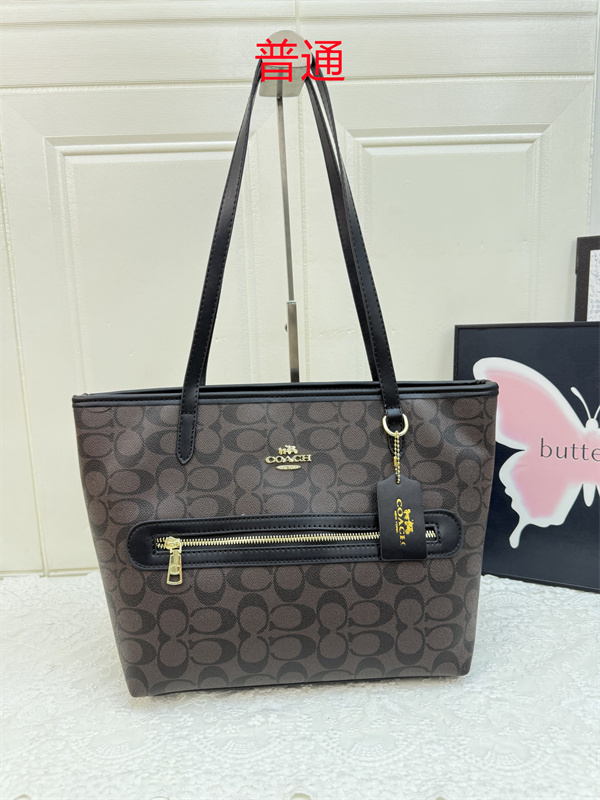 Coach bag-0615