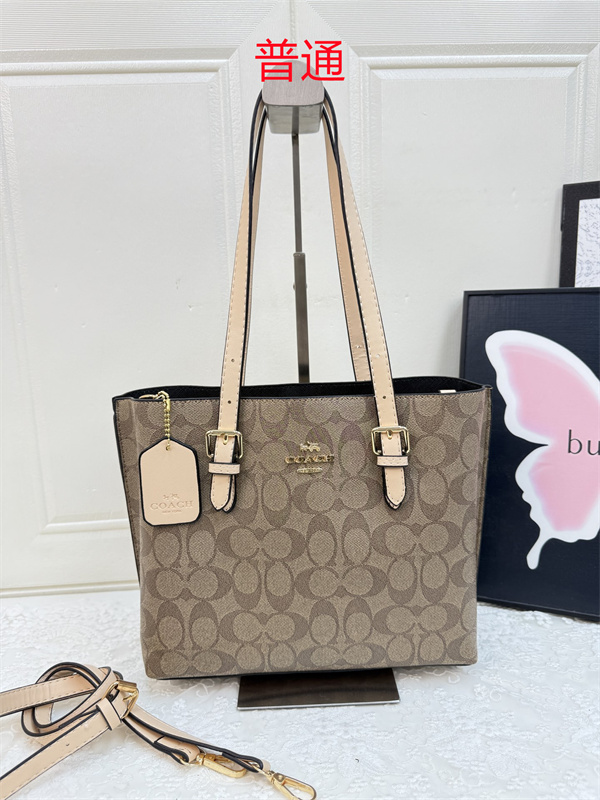 Coach bag-0618