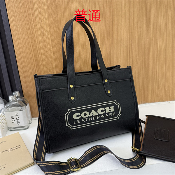 Coach bag-0631