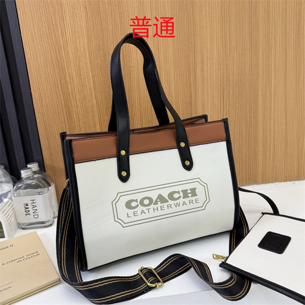 Coach bag-0632