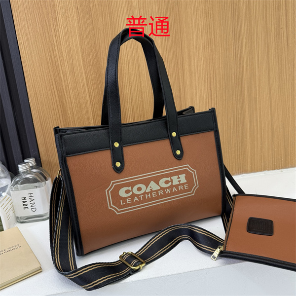 Coach bag-0633