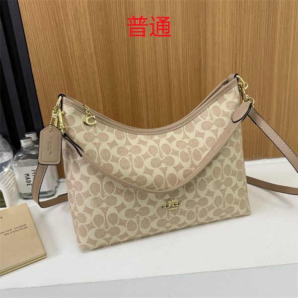 Coach bag-0635