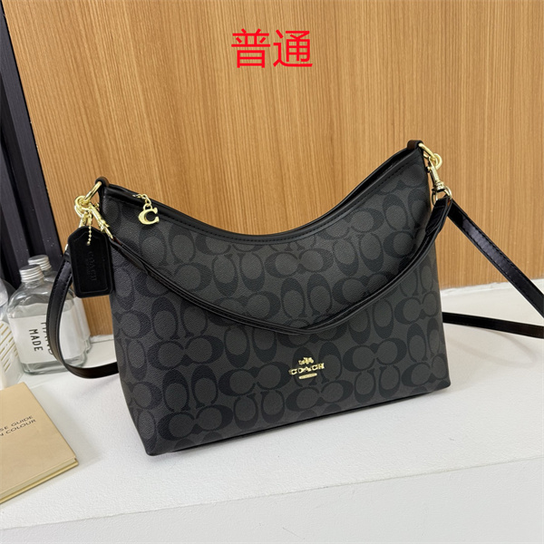 Coach bag-0638