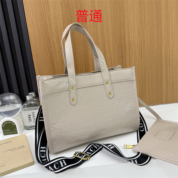 Coach bag-0651