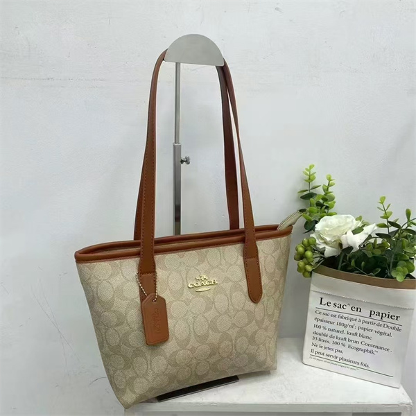 Coach bag-0067