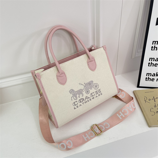 Coach bag-0080