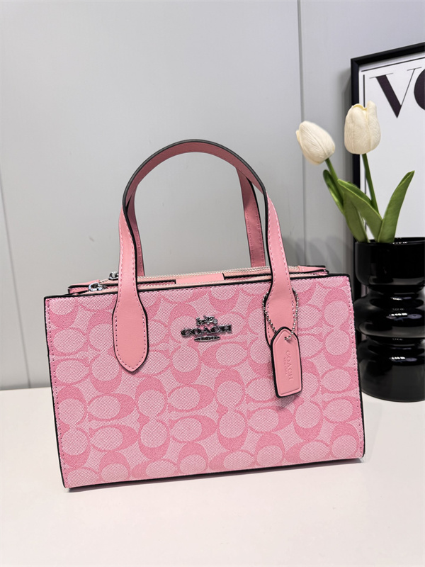 Coach bag-0085