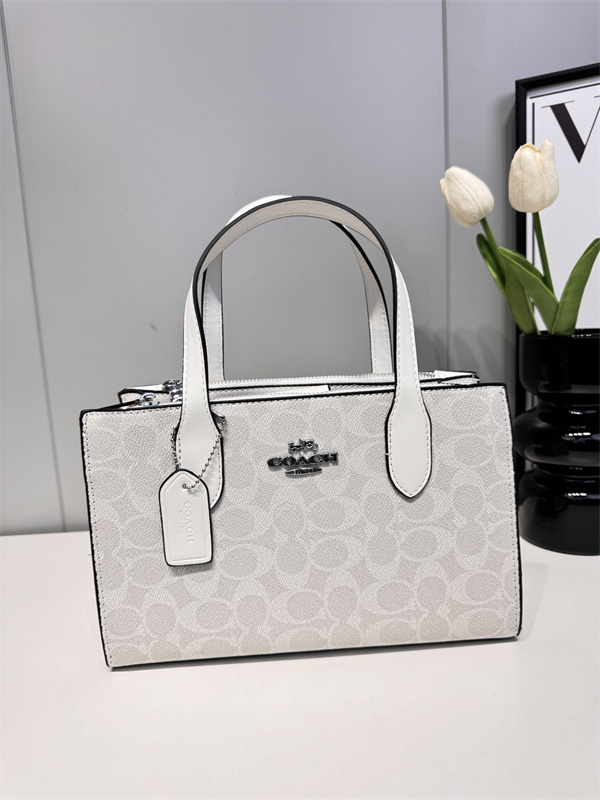 Coach bag-0087