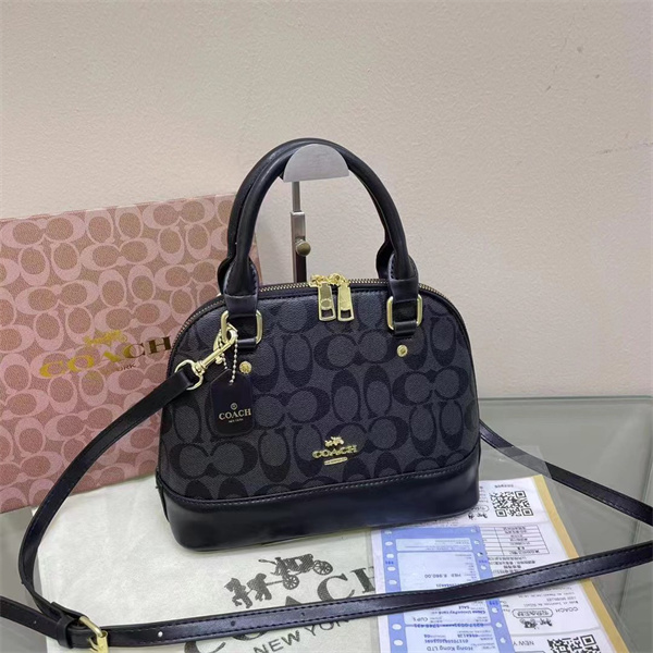 Coach bag-0088