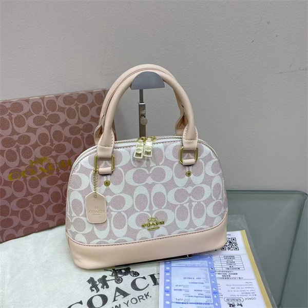 Coach bag-0093