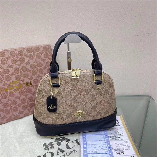 Coach bag-0095