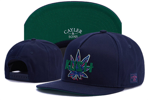 Cayler&Sons Snapbacks-0140