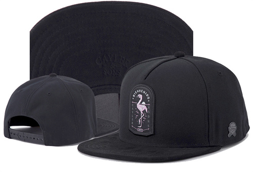 Cayler&Sons Snapbacks-0220