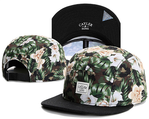 Cayler&Sons Snapbacks-0058