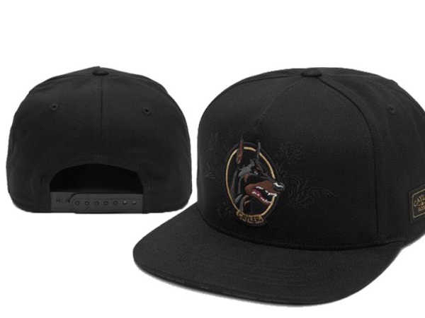 Cayler&Sons Snapbacks-0085